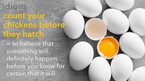Learner S Dictionary On Twitter Idiom Count Your Chickens Before They Hatch To Believe That Something You Want To Happen Will Definitely Happen Before You Know For Certain That It Really