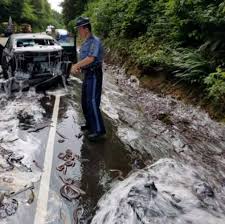 We did not find results for: Video Gambar Lori Bawa 3 400kg Belut Terbalik Lebuhraya Terhalang Selepas Dipenuhi Lendir Licin Berwarna Putih Infoje Org