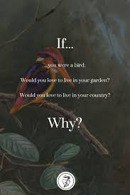 Bird Bird Bird Bird Is The Word Lyrics If You Were A Bird Just Think About This One Second Poems Wisdom Quotes Lyrics Lyrical Bird Birds Birdslyrics Birdsofp In 2020 Words Poems Wisdom