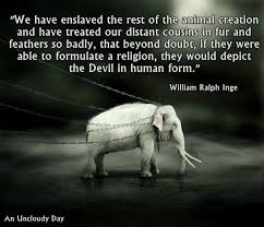 Sadly Very True We Humans Have Been The Worst Enemy Of All Living Things We Have Caused So Many Of Them To Become Extin Animal Advocacy Animal Quotes Animals