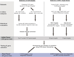 molecular classification of myc driven b cell lymphomas by