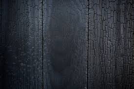 Select from premium texture bois noir of the highest quality. Accoya Noirdenoir Bois Brule Bardage Bois Bardage