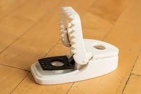 We did not find results for: The Best Mousetrap Reviews By Wirecutter