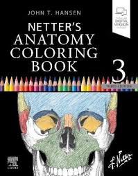 39+ human anatomy coloring pages printable for printing and coloring. Netter 039 S Anatomy Coloring Book Von John T Hansen Isbn 978 0 323 82673 0 Fachbuch Online Kaufen Lehmanns De