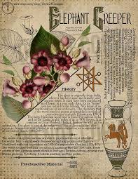 Pin On Tarot