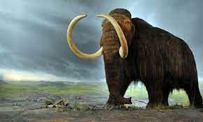 10 Extinct Animals Alleged To Still Be Alive Listverse