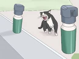 Compare prices on popular products in pet supplies. 4 Ways To Stop Cats From Peeing On The Front Porch Wikihow Pet