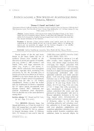 Image result for Justicia engleriana