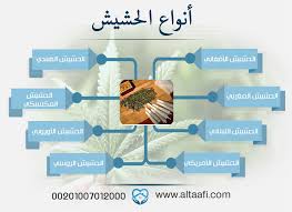 pin on https altaafi com eg