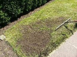 Es gibt einige möglichkeiten, einen garten einzuebnen. Pin Auf Garten