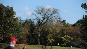 Saucon valley's old course, site of the championship the first two times, also will celebrate its 100th anniversary that year. Fore Brookline Touts Community Benefits Ahead Of Upcoming U S Open