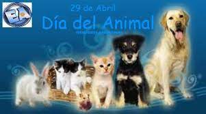 Alta transmisión con impacto en los jóvenes y tensión en el sistema de salud 28/04/2021 29 De Abril Dia Del Animal En Efemerides Argentinas Facebook
