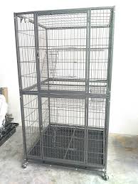 Nah supaya kamu tahu gimana cara memandikan kucing sendiri dengan baik, kucing pedia mempunyai panduan lengkap untuk memandikan si kucing. Sangkar Kucing Besar Infosantai