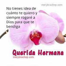 Puedes contar con mi hombro para llorar en él cuando lo necesites. áˆ Frases De Aliento Para Mi áˆ Querida Hermana 2 Entre Poemas Cristianos Frases Vivencias Y Cumpleanos