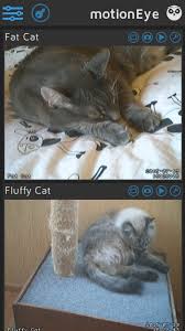 Image result for MotionEye