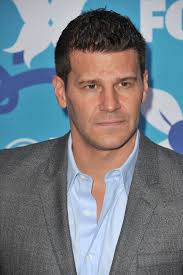 SEAL Team: New David Boreanaz TV Show Ordered by CBS