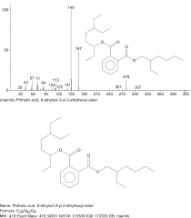 Image result for Melastomastrum capitatum