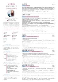 Cv Moderne Chouette Modele Cv Exemple Cv Cv Moderne