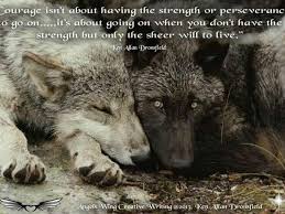 What Rank In A Wolf Pack Would You Be Wolf Dog Animals Wolf Love