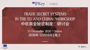 While many of the legal principles and policy debates concerning software copyright have close parallels in other domains of copyright law, there are a number of distinctive issues that arise with software. Activities Ipkey