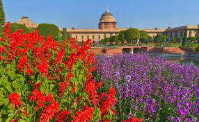 Maybe you would like to learn more about one of these? 10 000 Tulips Over 130 Varieties Of Roses At The Mughal Gardens This Year