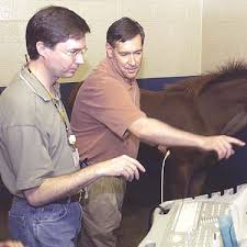 Rood & Riddle Welcomes...