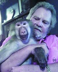 Despite surgery, exotic animal owner seeks monkey