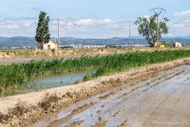 Descubre las puestas de sol más espectaculares rodeados de arrozales y saboreando nuestra cocina más típica. 6 Cosas Que Hacer En El Delta Del Ebro Los Apuntes Del Viajero