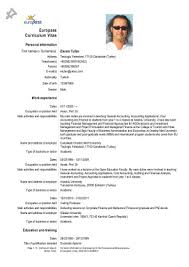 European resume template cv templates combination 3 resume templates … why the europass is bad for your career | martin jee's. Cv Template Europe