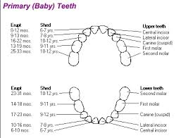 Pediatric Dentistry They Are Just Baby Teeth Why Fix Them
