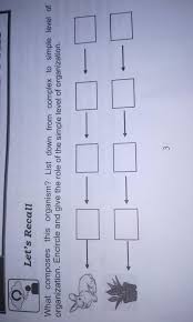 We did not find results for: What Are The Similarities Of Plant And Animal Cells Brainly