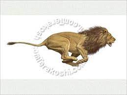 a running lion antoine louis barye