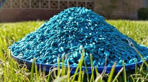 Maybe you would like to learn more about one of these? My Dog Ate Cholecalciferol Vitamin D3 Dr Justine Lee Dacvecc Dabt Dr Justine Lee