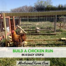 How To Build A Chicken Run In 4 Easy Steps Mranimal Farm Building A Chicken Run Chicken Runs Building A Chicken Coop