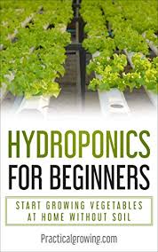 Various hydroponic systems of growing are described, giving their advantages and disadvantages. Hydroponics For Beginners Start Growing Vegetables At Home Without Soil Kindle Edition By Jones Nick Crafts Hobbies Home Kindle Ebooks Amazon Com