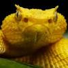 Maybe you would like to learn more about one of these? 1