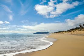 The city itself isn't very populous (about 300,000 inhabitants), but the porto metropolitan area (greater porto) has some 2,500,000 inhabitants in a 50km radius. Der Heilende Wundersand Von Porto Santo