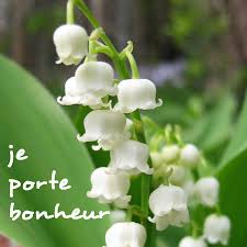 Tu vas voir de quel plante je me nourris ! Blog Du Syndicat National Cftc Banque Populaire Un Brin De Muguet Porte Bonheur Bon 1er Mai