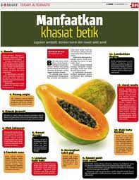 Nah, untuk itu kamu juga mesti paham mengenai khasiat pinang. Manfaatkan Khasiat Betik Klik