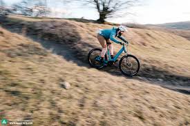 Animal crossing new horizons is now available on the switch meaning nintendo loyalists have something animal crossing: The Best Off Road Step Through Of 2020 10 Ebikes In Review E Mountainbike Magazine