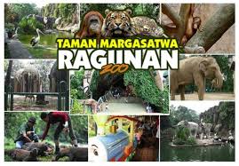 Kebun binatang bandung akan kembali buka sabtu besok 27 juni 2020. Kebun Binatang Ragunan Tempat Wisata Paling Favorit Keluarga Jakarta