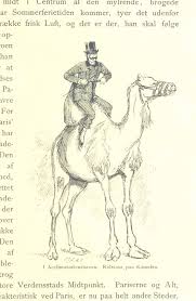 Create a storyboard that answers the prompt using at least three examples from my librarian is a camel. The British Library S Important Flickr Plan