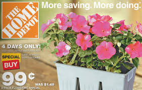 Offered in several pack sizes, these flats are designed for the true gardener that enjoys the satisfaction of planting and maintaining their own garden. Home Depot 6 Packs Annual Flowers 0 99 Deal Seeking Mom