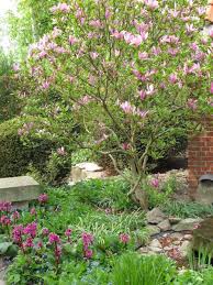 Die Schonsten Baume Fur Kleine Garten In 2020 Haus Baume Gartengestaltung Garten
