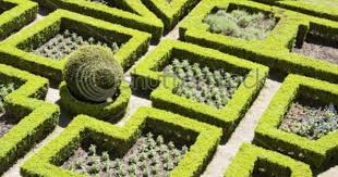 Be sure actual size is checked in the print box when printing. Geometric Garden Traditional Garden Garden Design Garden