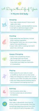 At 11 to 12 months: 11 Month Old Baby Development Milestones More Pampers
