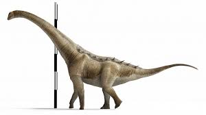 Nueva especie de dinosaurio gigante en Cuenca