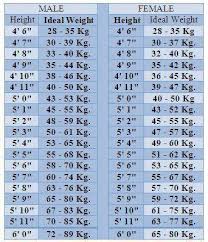 Ideal Weight According To Height 5 Ft 3 Inches Is About 1 6