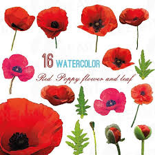 Watercolor Red Poppy Flower And Leaf Clip Art Pack Poppies Clip Art Png Jpg Svg Vector Illustrator Corel Files Included In 2020 Red Poppies Watercolor Red Poppy Flower