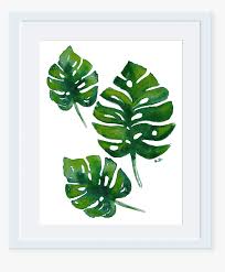 Cara menggambar pohon dengan pensil warna. Daun Monstera Kartun Hd Png Download Kindpng
